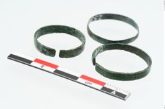 Foto von Bronzebandring (NHMW-PRAE-025319)